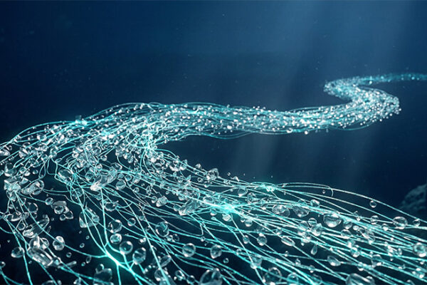 OCEAN-NeuroLab. Основы саморегуляции — Месяц 2. От автоматизма к управлению