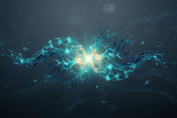 OCEAN-NeuroLab. Коммуникация — 3.4. Практикум